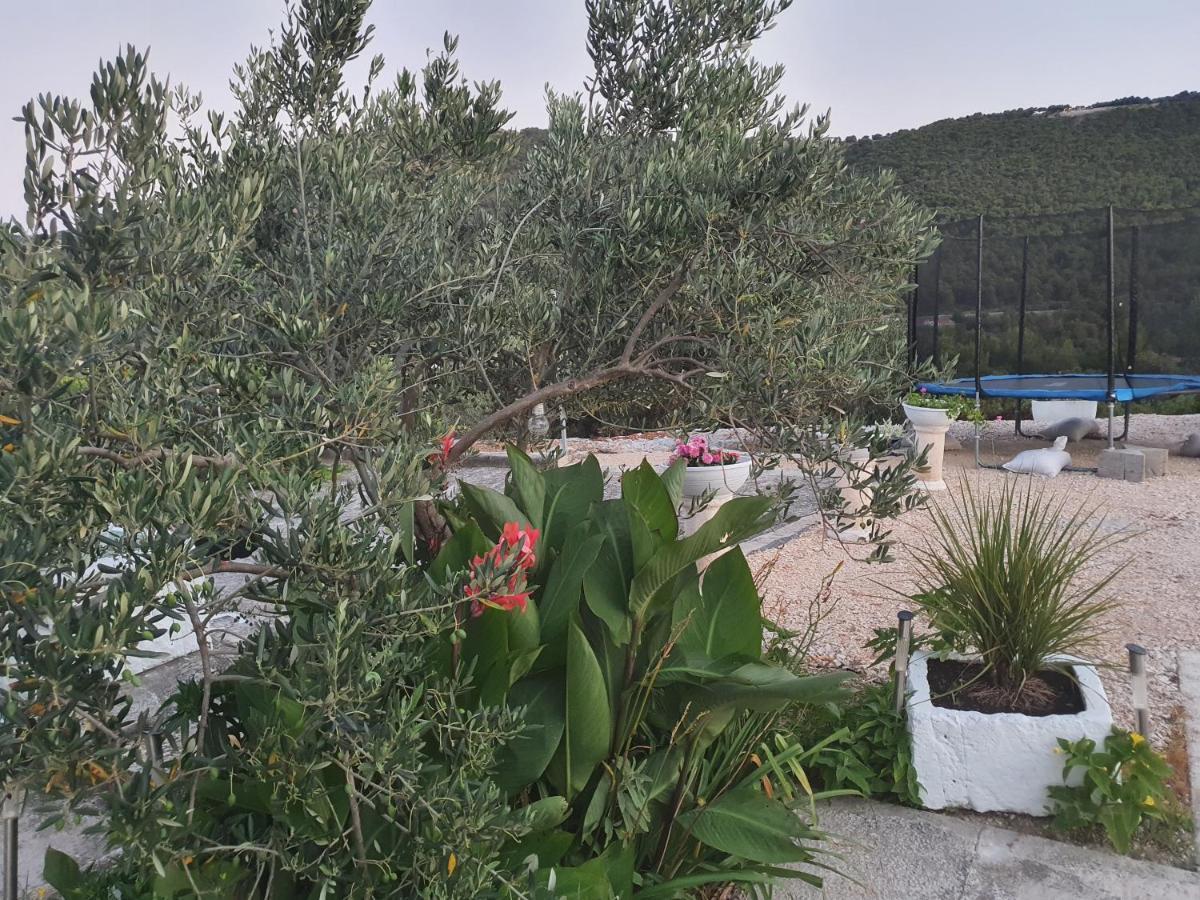 שיבניק Apartman Mare מראה חיצוני תמונה