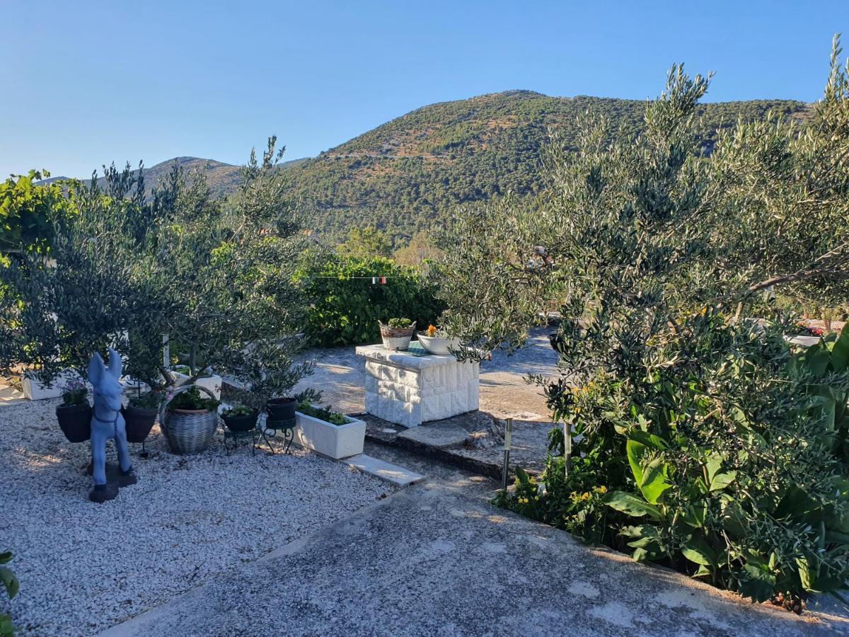 שיבניק Apartman Mare מראה חיצוני תמונה