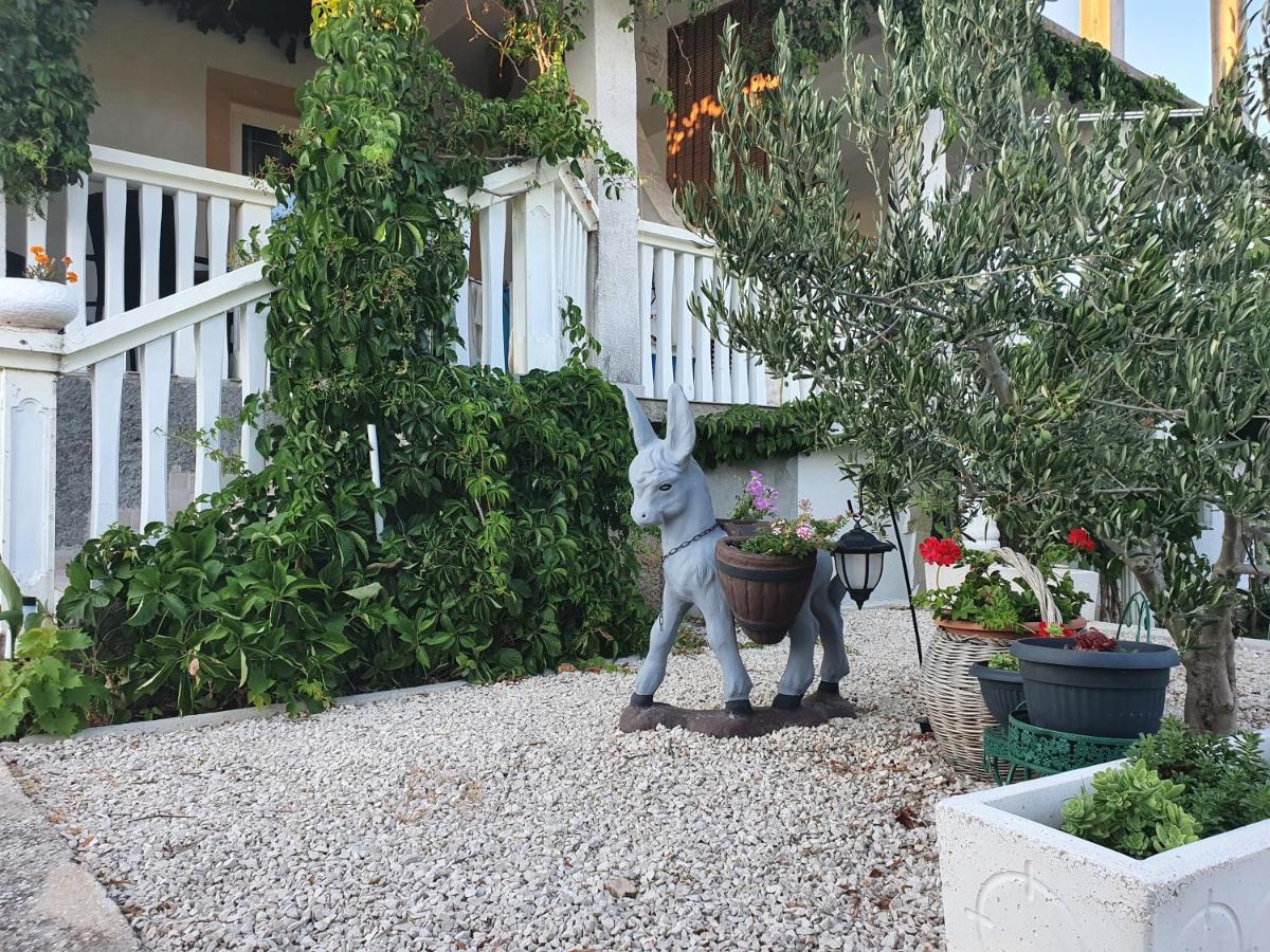 שיבניק Apartman Mare מראה חיצוני תמונה